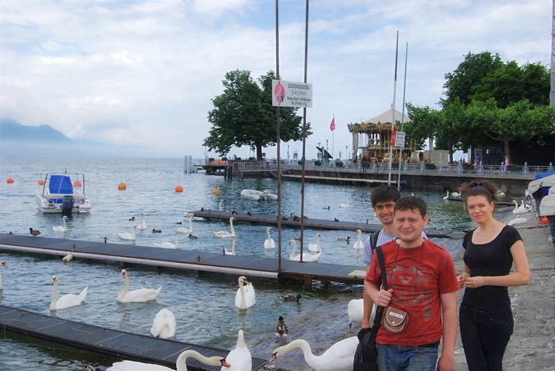 1 - A lakeside promenade along Lake Geneva (Lac Léman) in Switzerland, featuring several people standing near the water with numerous swans and floating docks